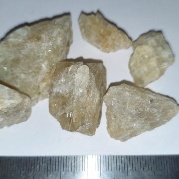pm009